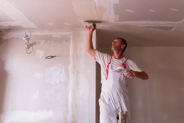 Best Ceiling Drywall Installation  in Navasota, TX